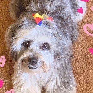 Meet your Posher, Karen